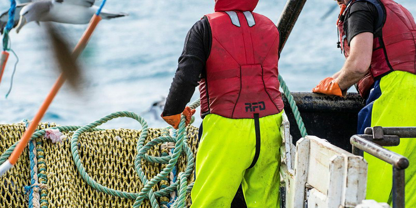 New Zealand hoki quota slashed 23% | IntraFish.com