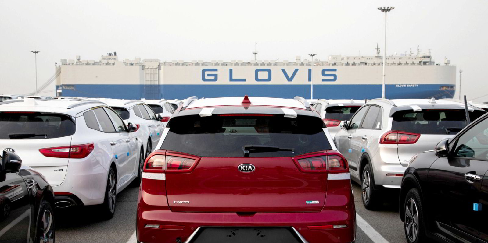 hyundai-glovis-makes-vlgc-debut-with-order-backed-by-trafigura-charter