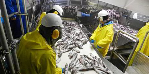 Global fishing-related deaths estimated at 100,000 each year, new