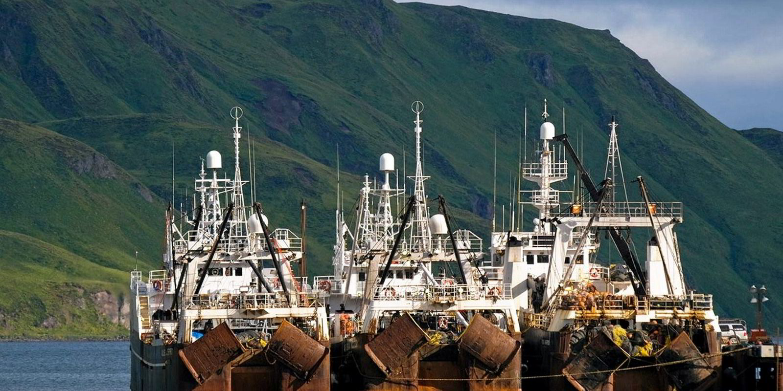 'For the first time in its history, the council has ignored science