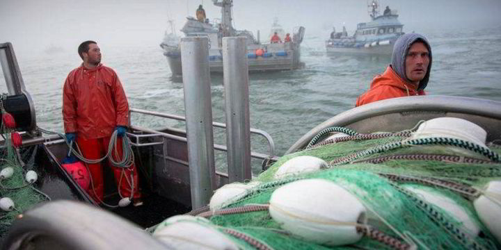 Alaska salmon LIVE UPDATES: Bristol Bay run building, 'less compressed' - Vimarsana News