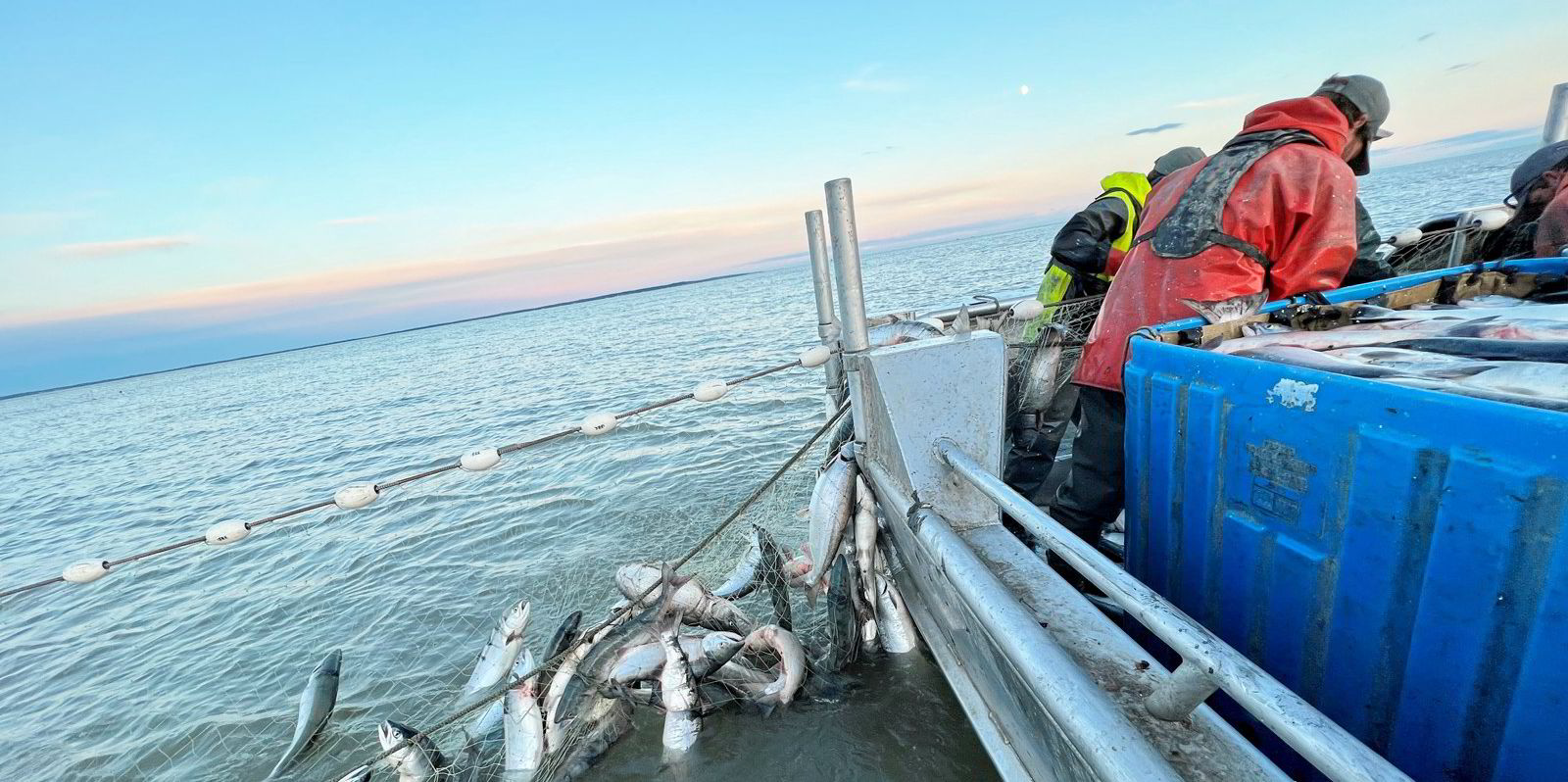 Fishermen alarmed by king salmon restrictions proposed for major Bristol  Bay sockeye district