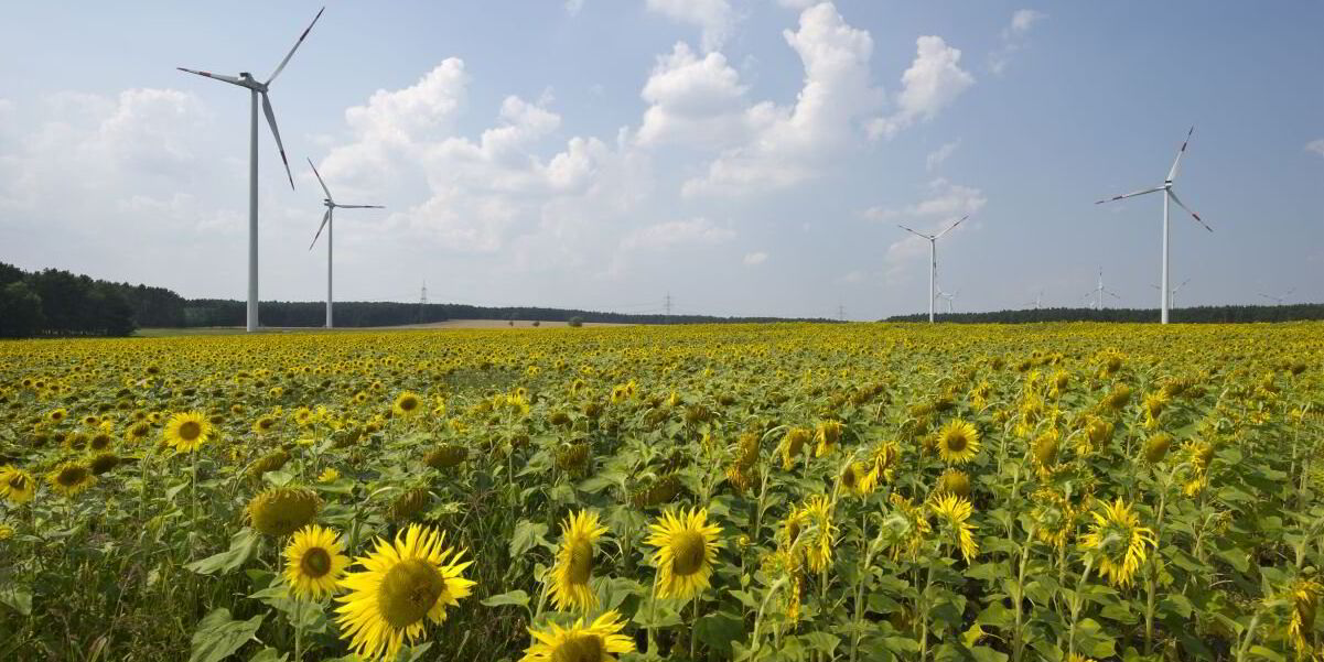 Energiewende setback may cost Germany $70bn, thinktank warns