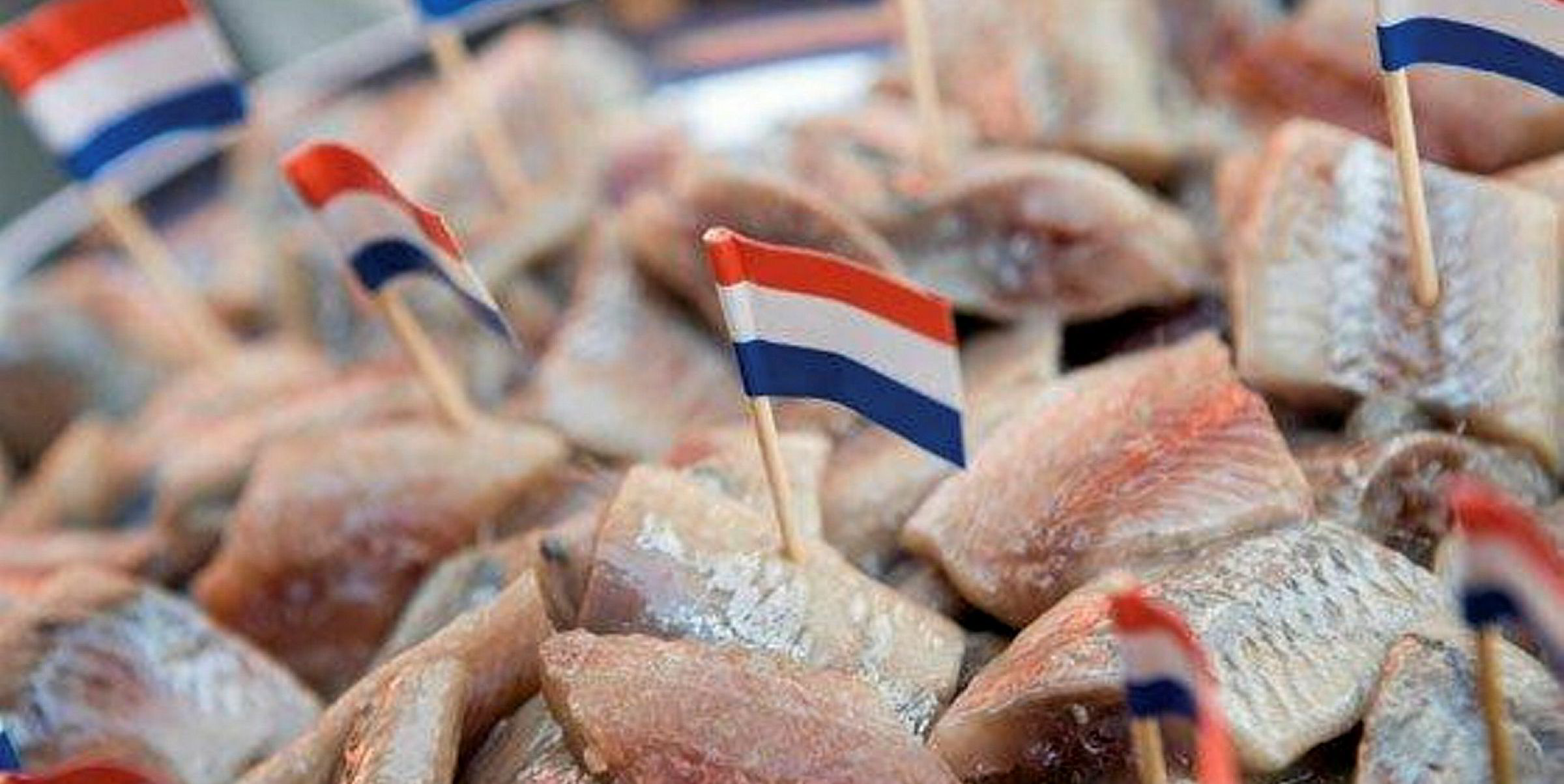 Dutch seafood exports to China expected to resume this week