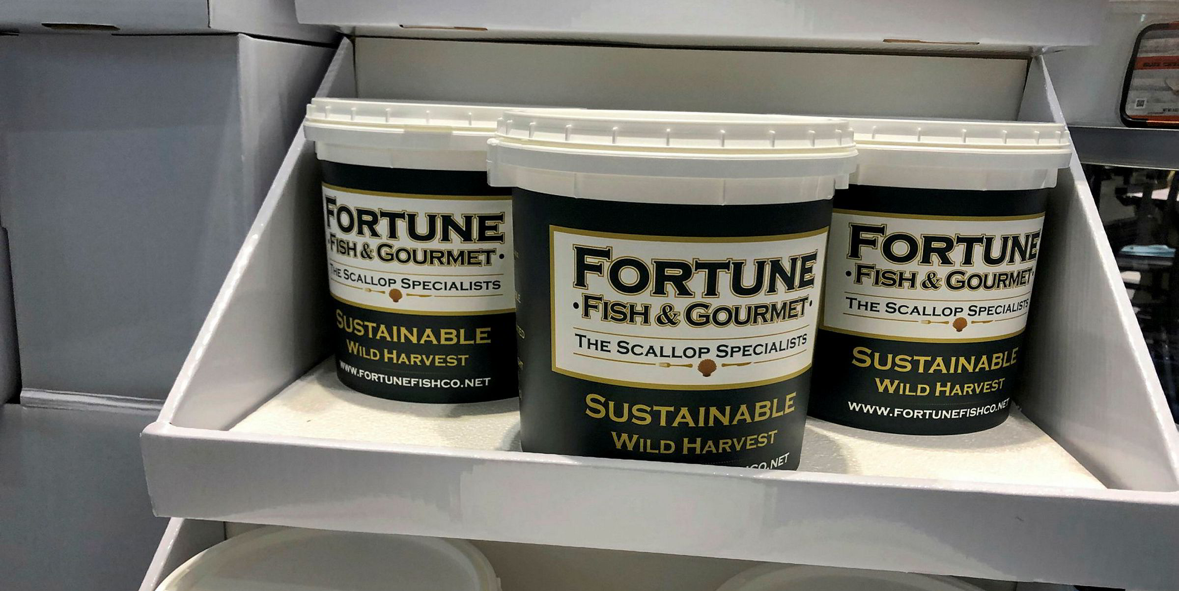 Fortune Fish & Gourmet adds seafood veteran to sales team