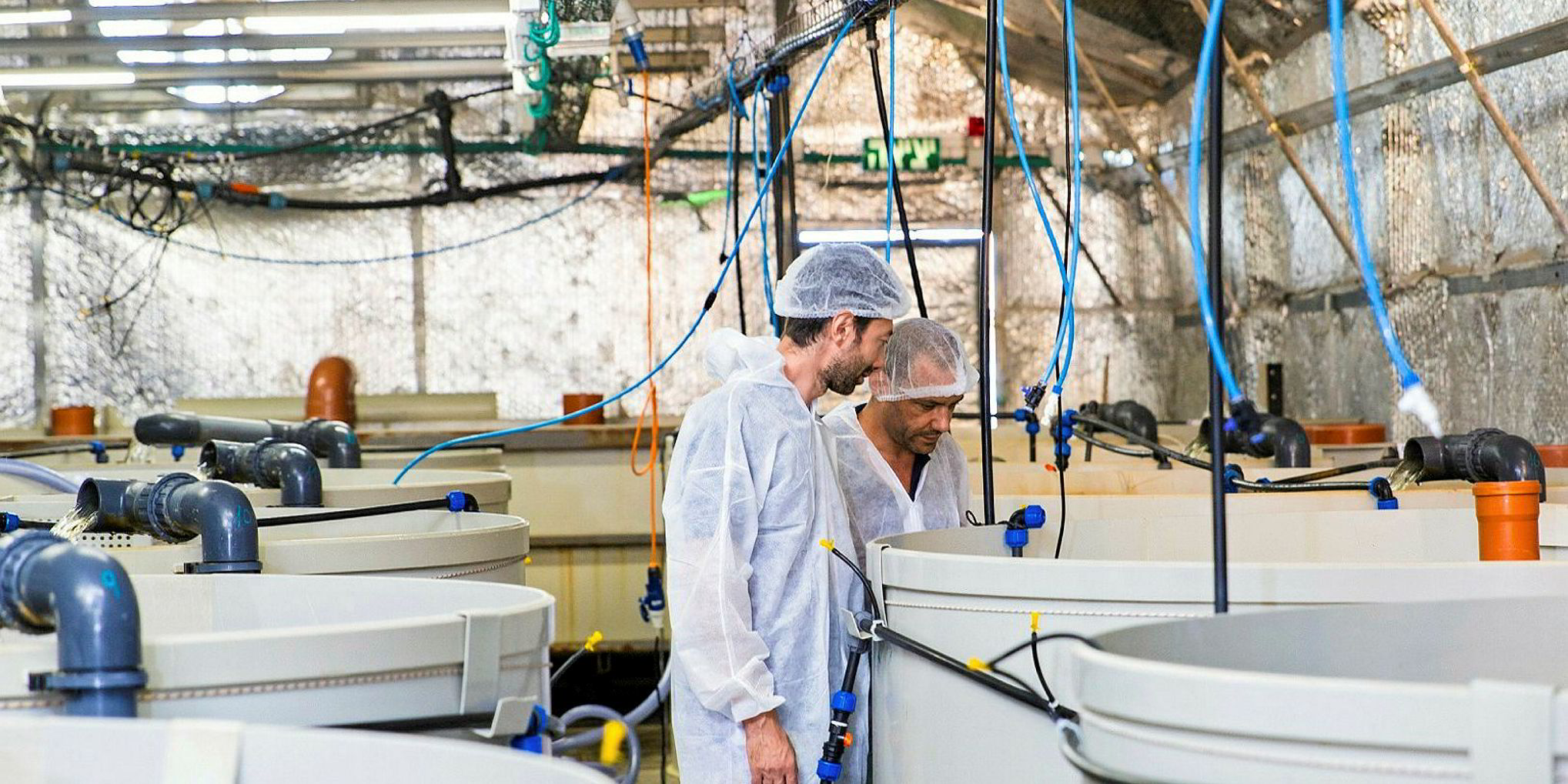 New Land Based Ras Shrimp Farming Technology Ready For 2020 Intrafish