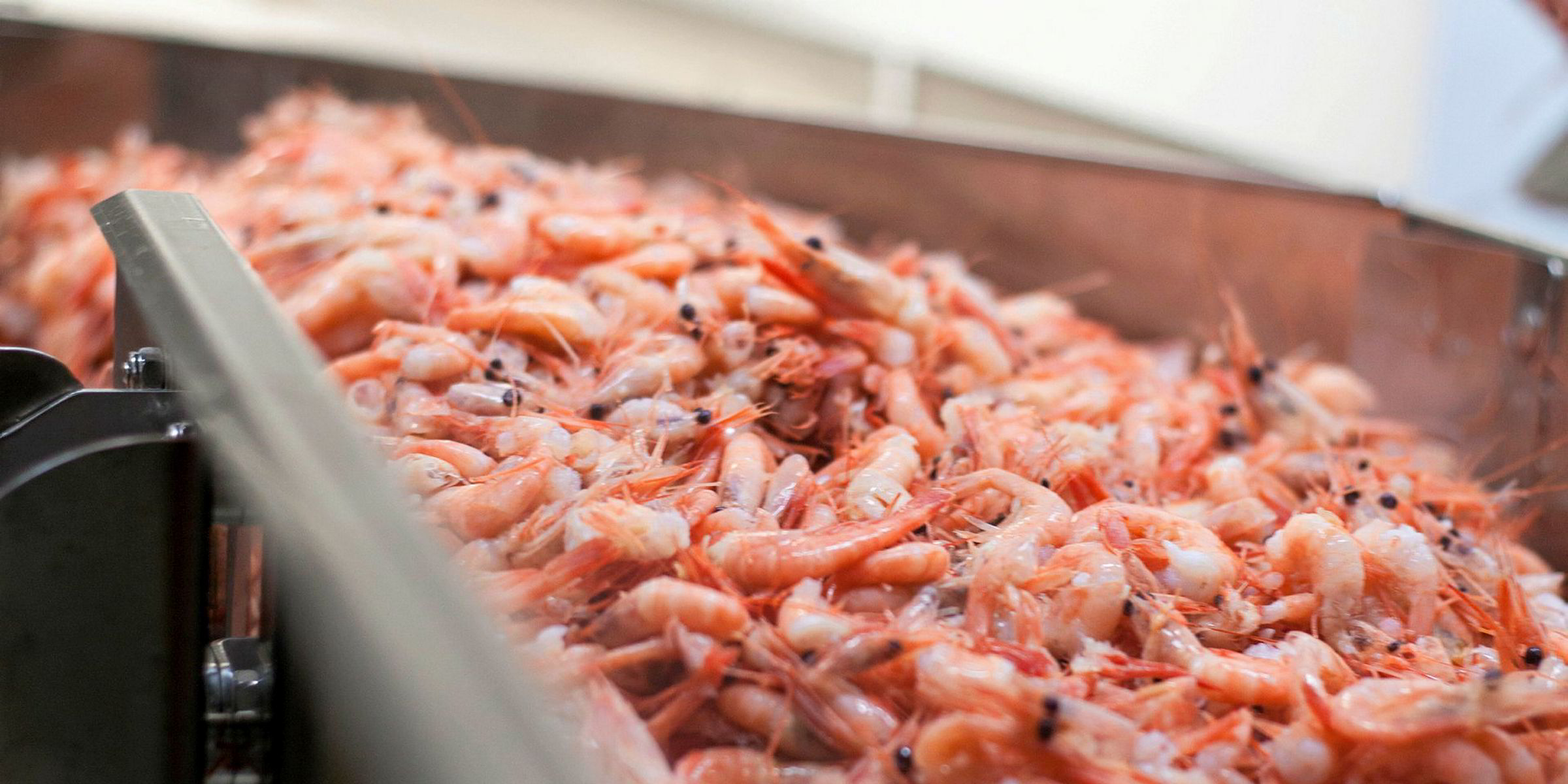 Norwegians optimistic for 2018 coldwater shrimp fishing