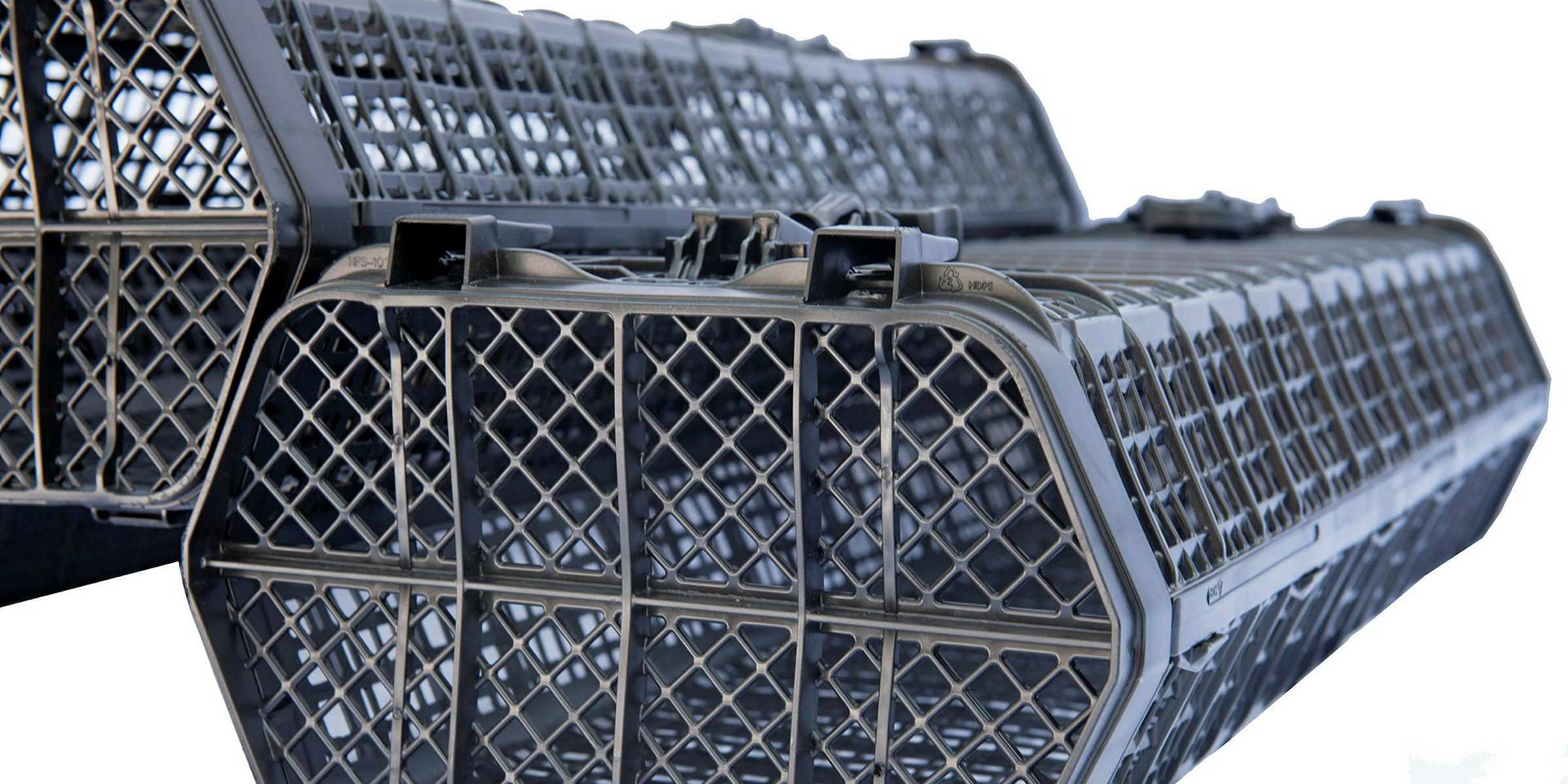 Hoopers Island Oyster Co. selling Hexcyl growing system in US Intrafish