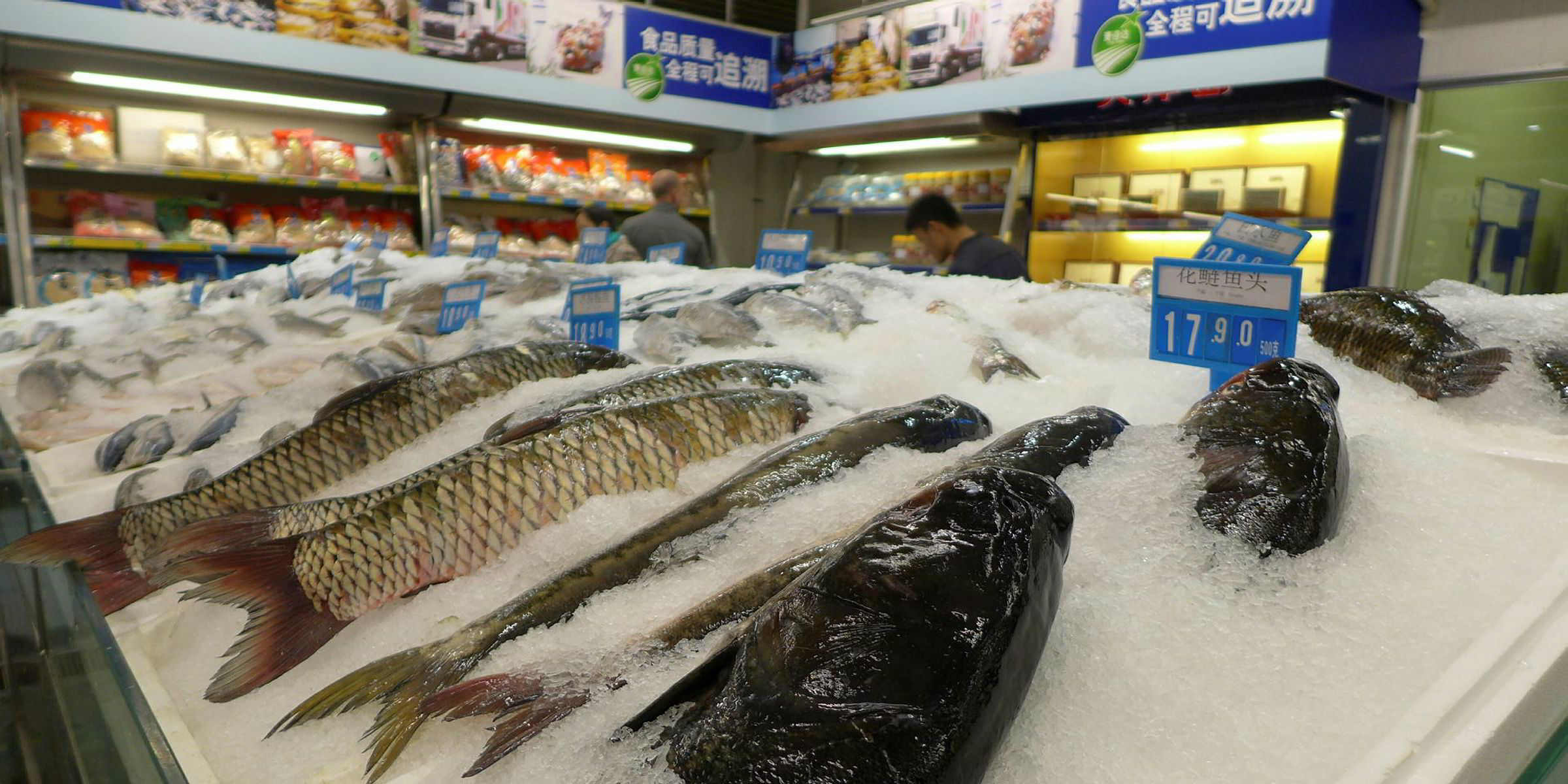 Euromonitor: China retail seafood sales on the rise