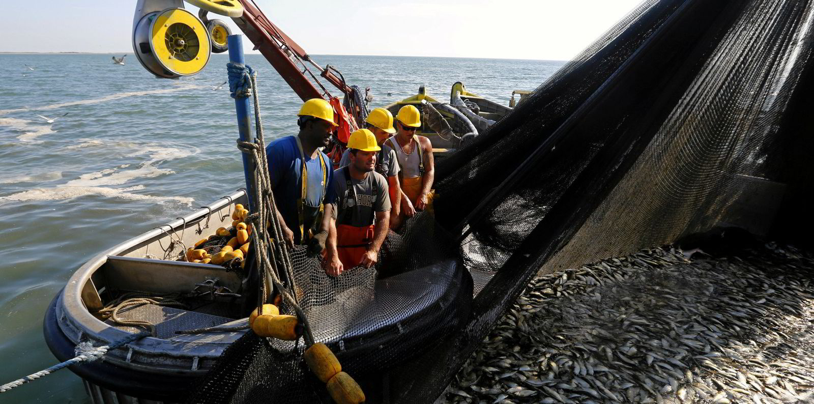 US Atlantic fishery fleet could land 'thousands of jobyears' from work