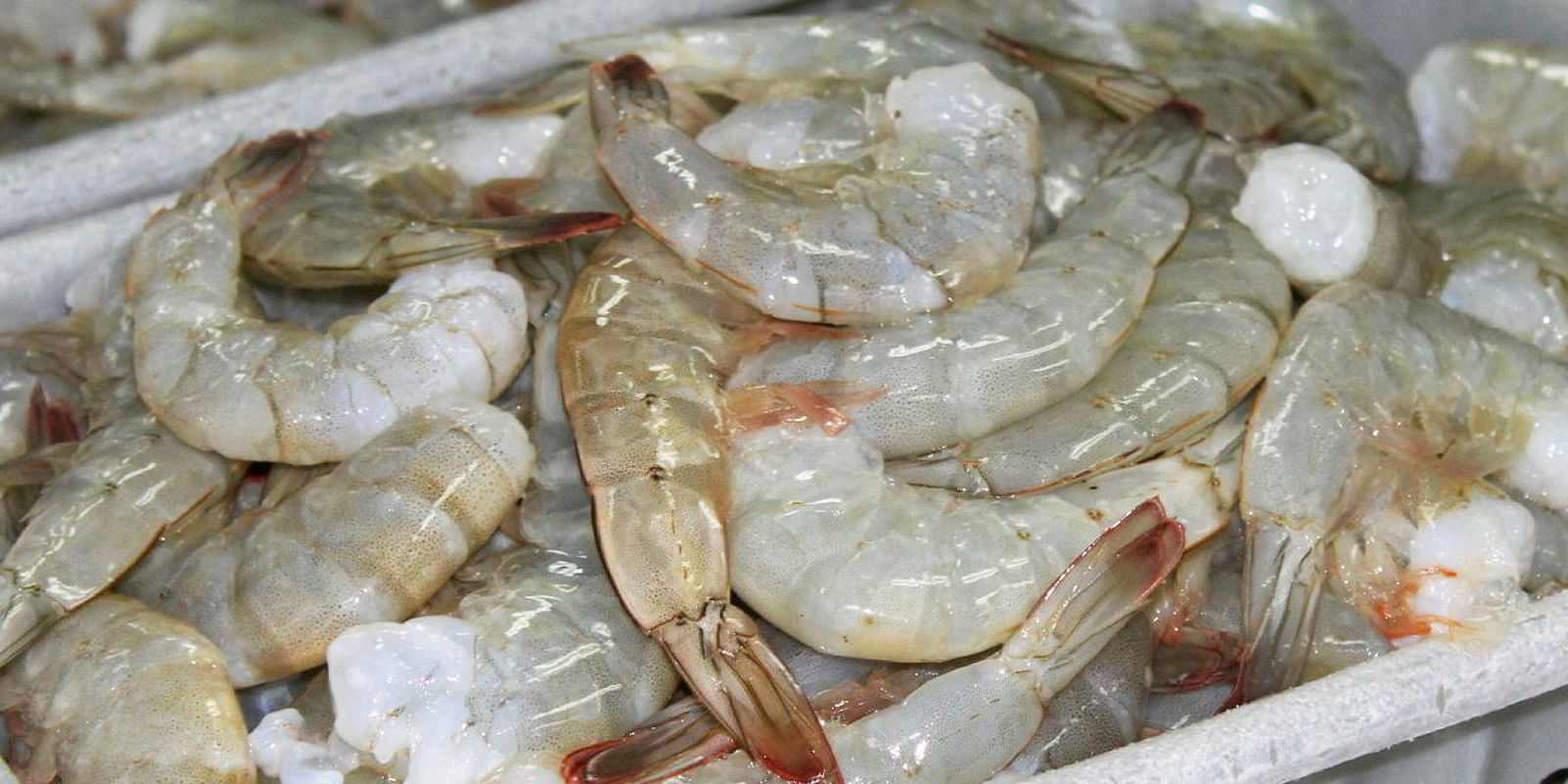 China blocks shrimp imports from three Ecuadorian plants Intrafish