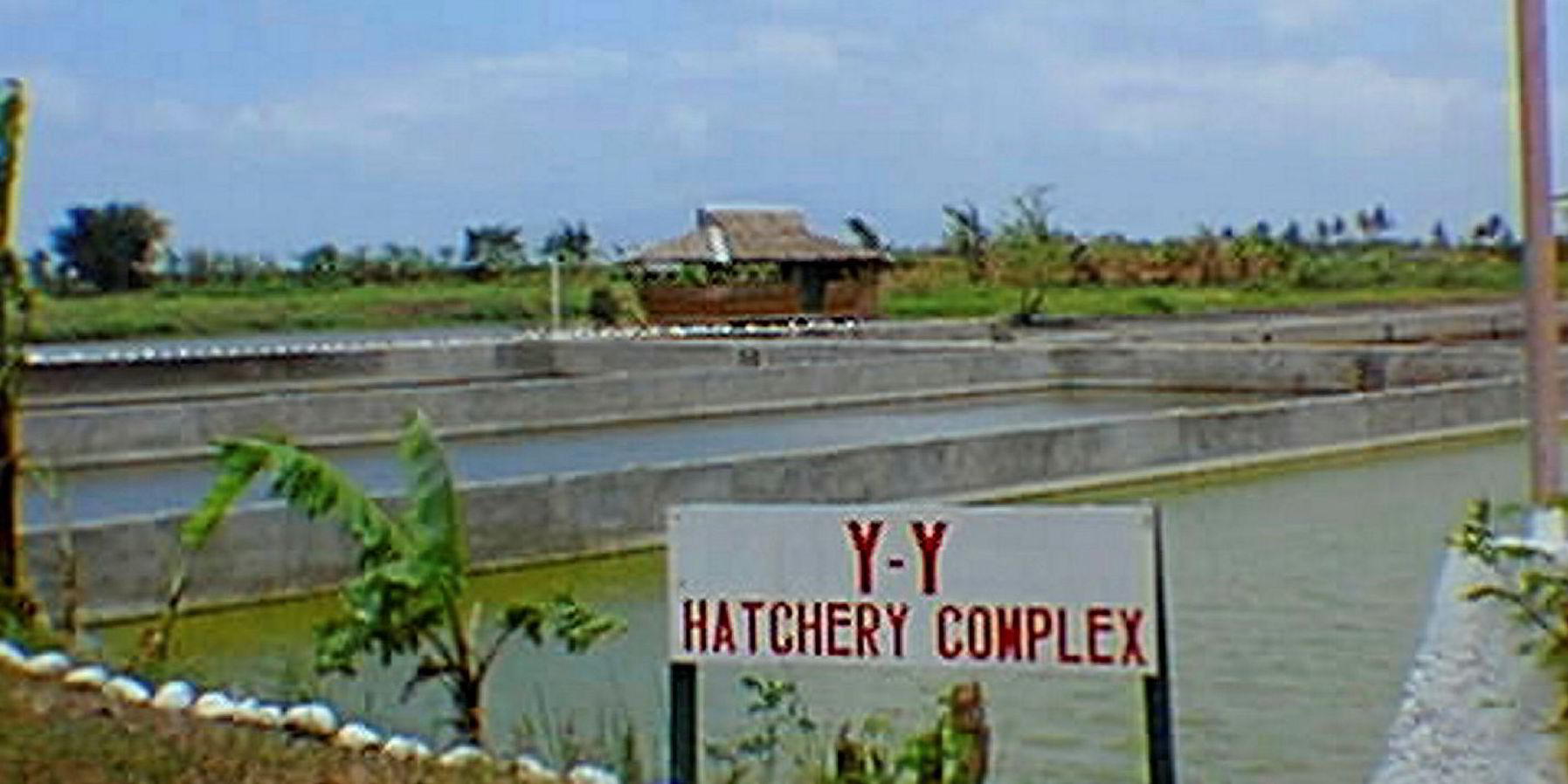 Philippines Grows Aquaculture To Enable Self-sufficiency | IntraFish.com