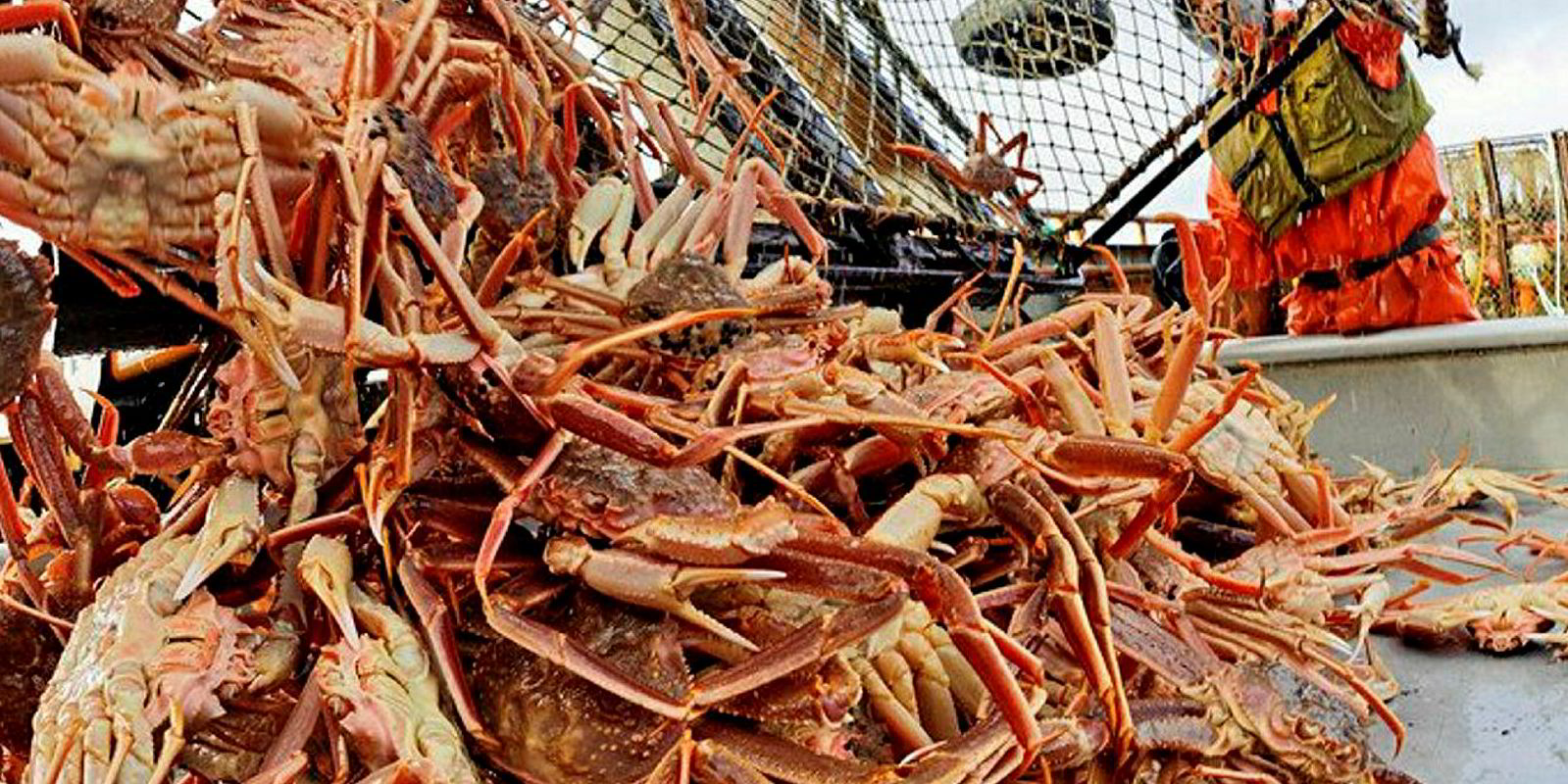 us-seafood-companies-relying-on-chinese-new-year-extension-to-weather