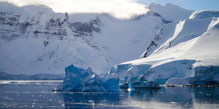 US, UK battle over toothfish fishing near Antarctica | IntraFish.com