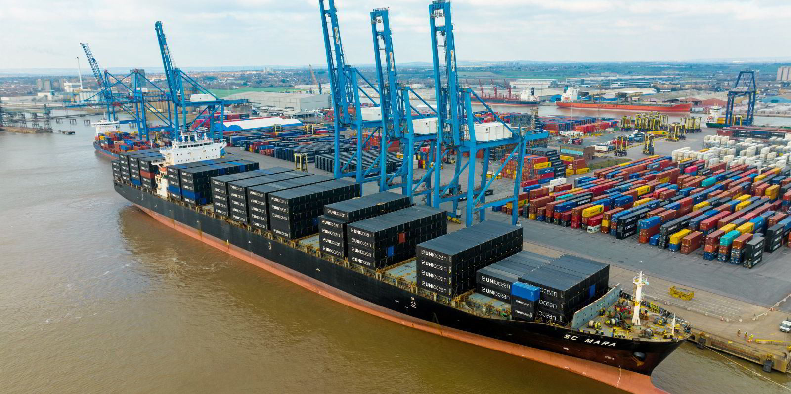 Newcomer Ellerman ditches Asia-Europe after freight rates tank | TradeWinds