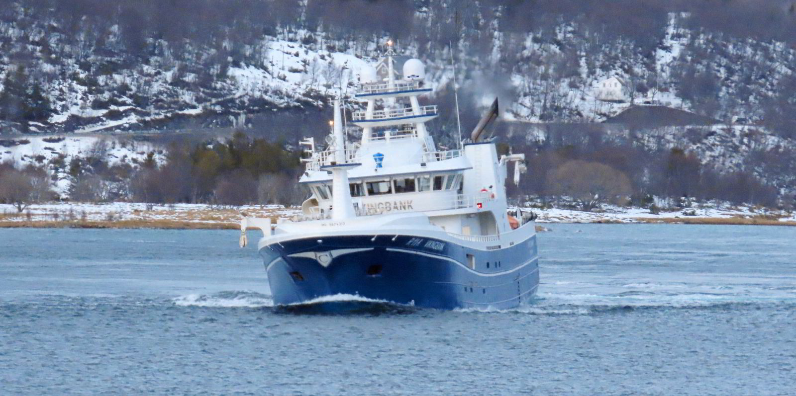 Nvg-silda: Gytevandringen så vidt i gang | Fiskeribladet