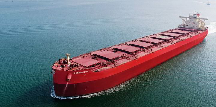 170 capesize bulkers needed to ship iron ore from world’s biggest new ...