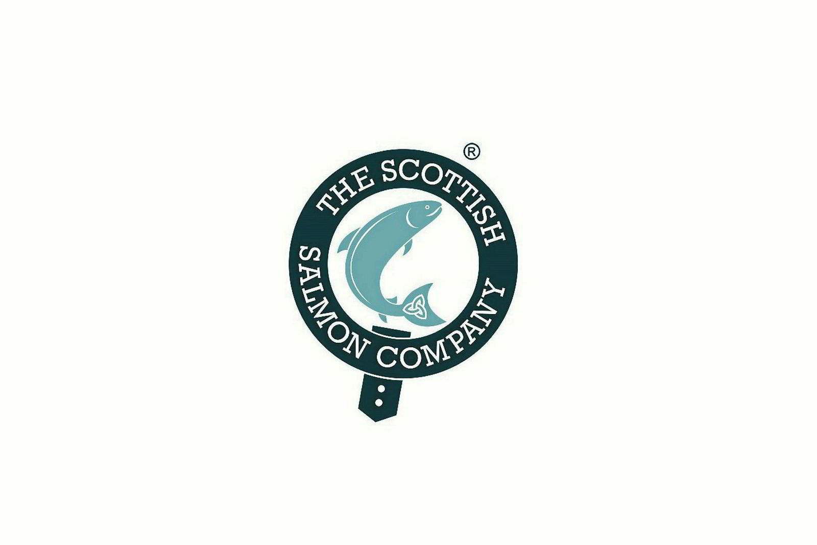 Scottish Salmon Company Logo Species Decal (Multiple Options)