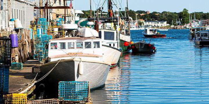 Maine avslöjar strategi för att öka sin skaldjursindustri