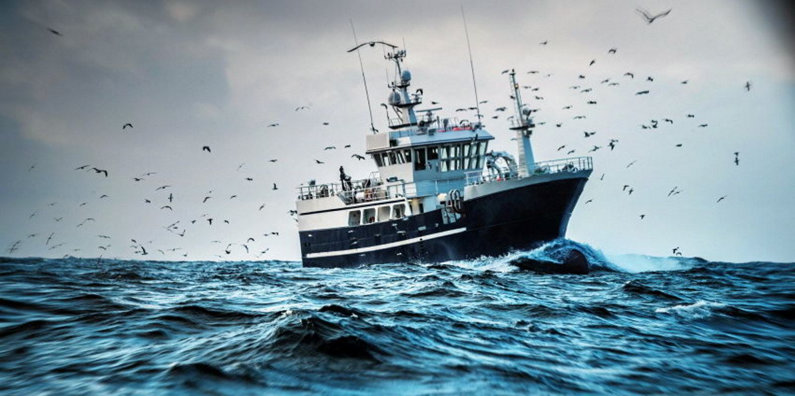 Alaska pollock industry warns of full fishery closure if