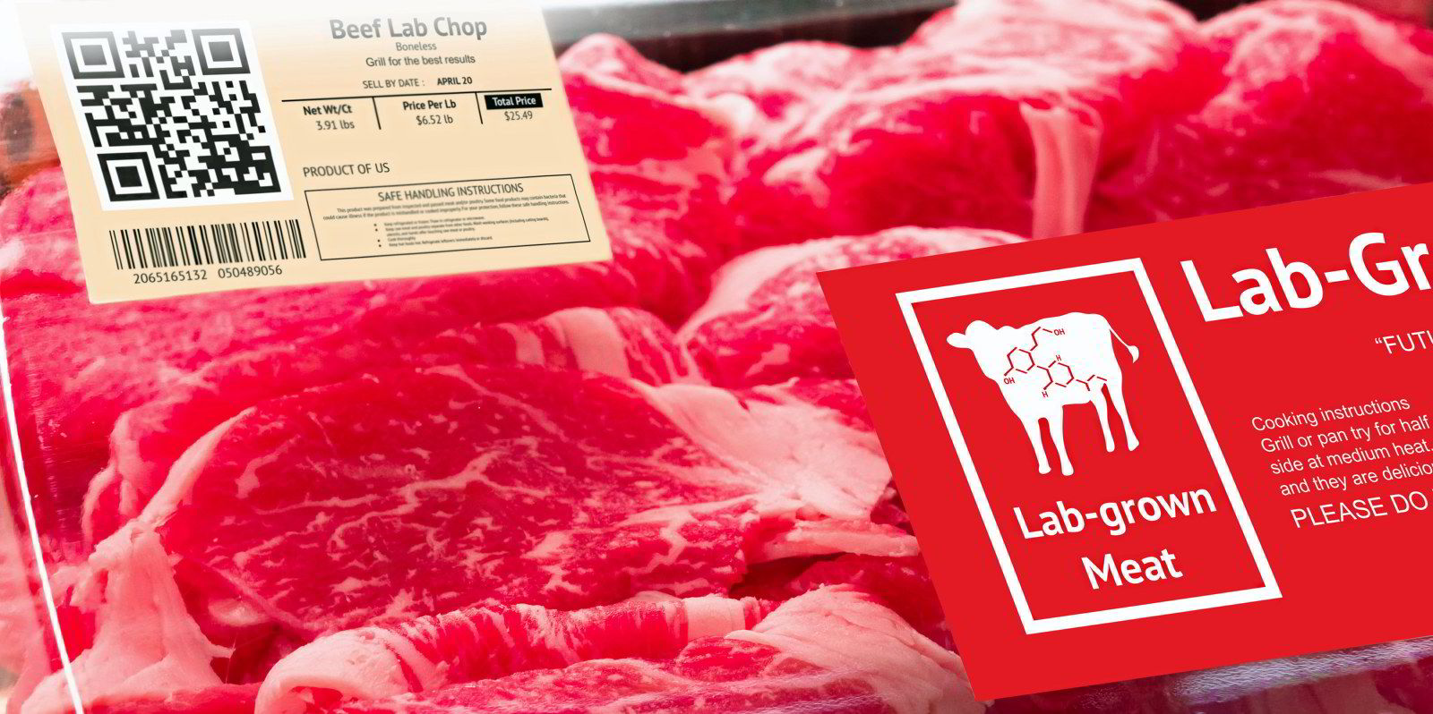 The Netherlands OKs first-ever taste tests for cellular meat and ...