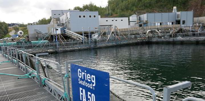 Laksedød etter klorutslipp ved Grieganlegg i Alta - Vimarsana News