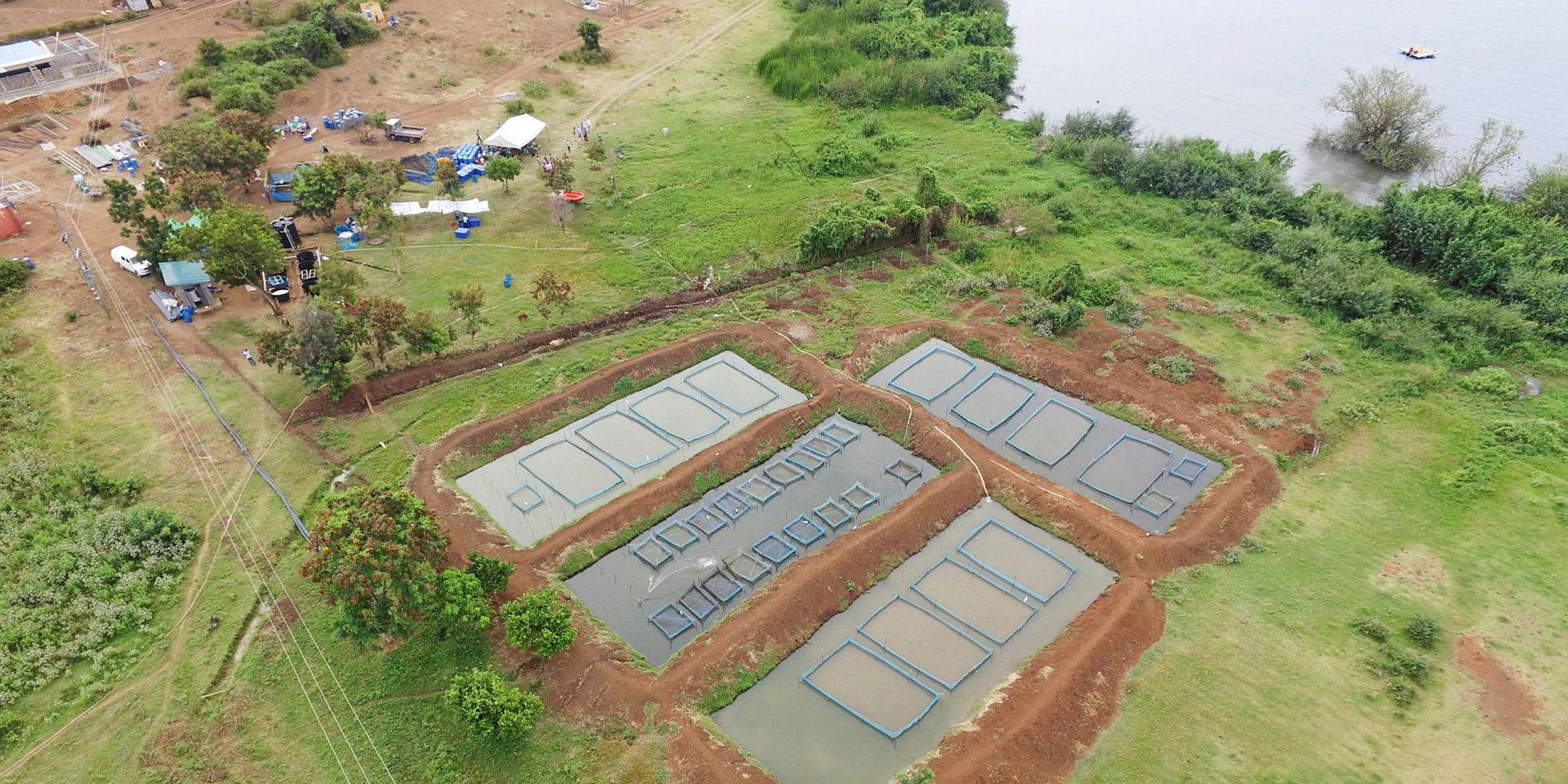 Kenyan tilapia firm on track to hit expansion targets