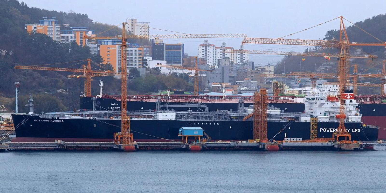 Iino Lines confirms order of VLGC for charter to chemicals player ...