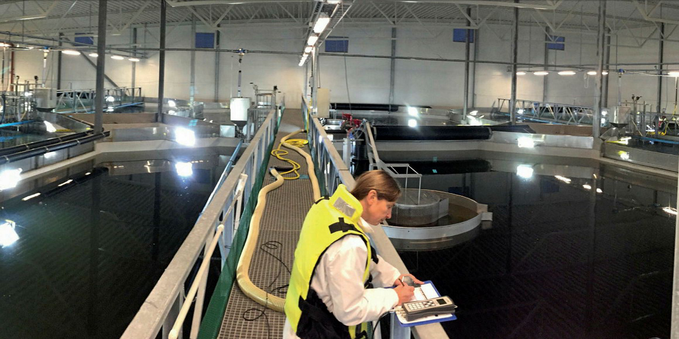 Report: Benefits of closed RAS systems for salmon farming | IntraFish.com