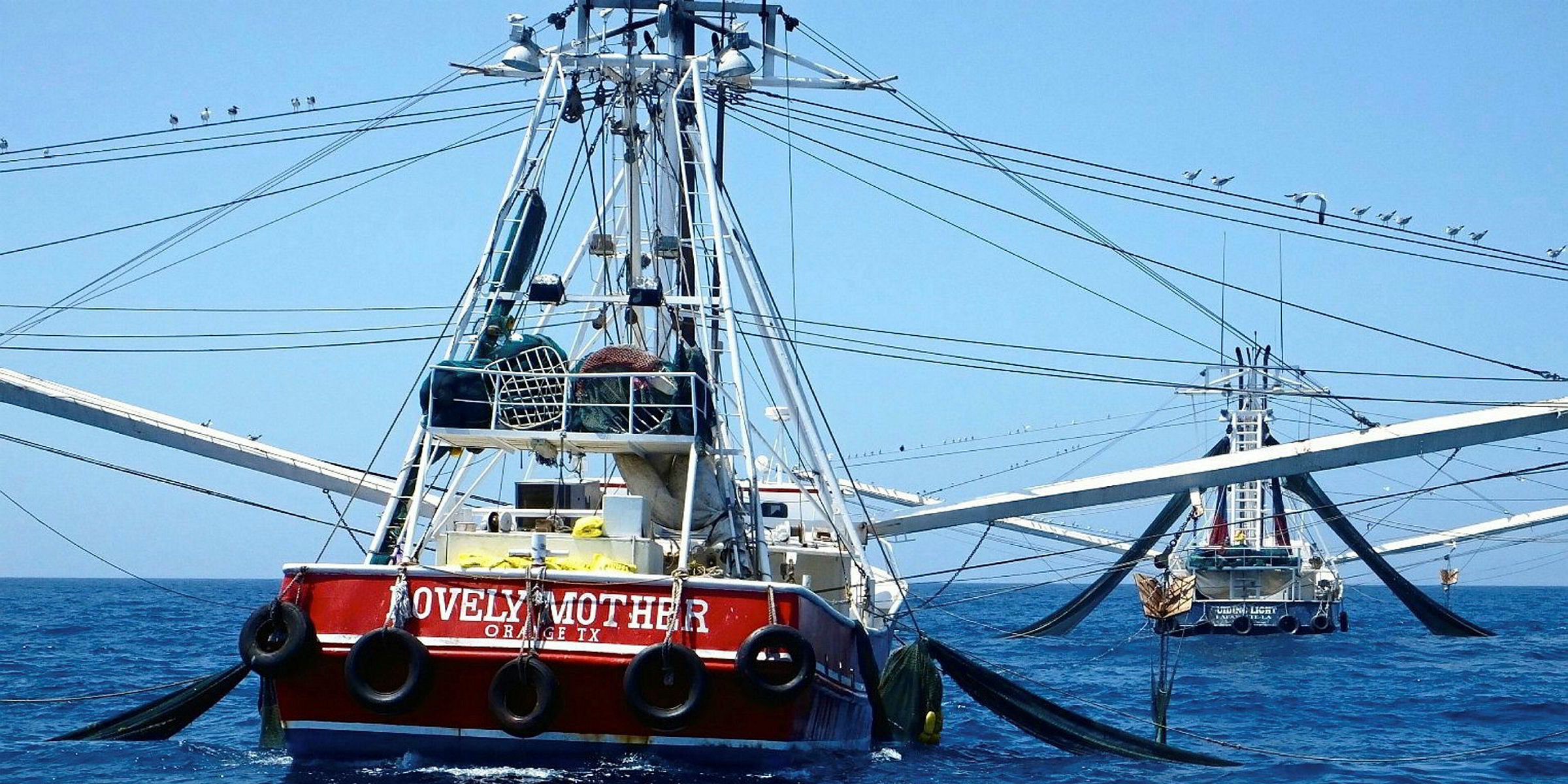 US Gulf of Mexico shrimp landings down in August Intrafish