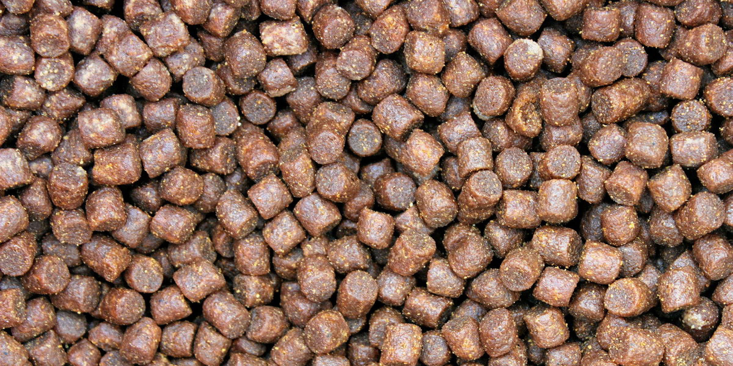 Salmon, shrimp feed growth boosts Alicorp Q2 earnings