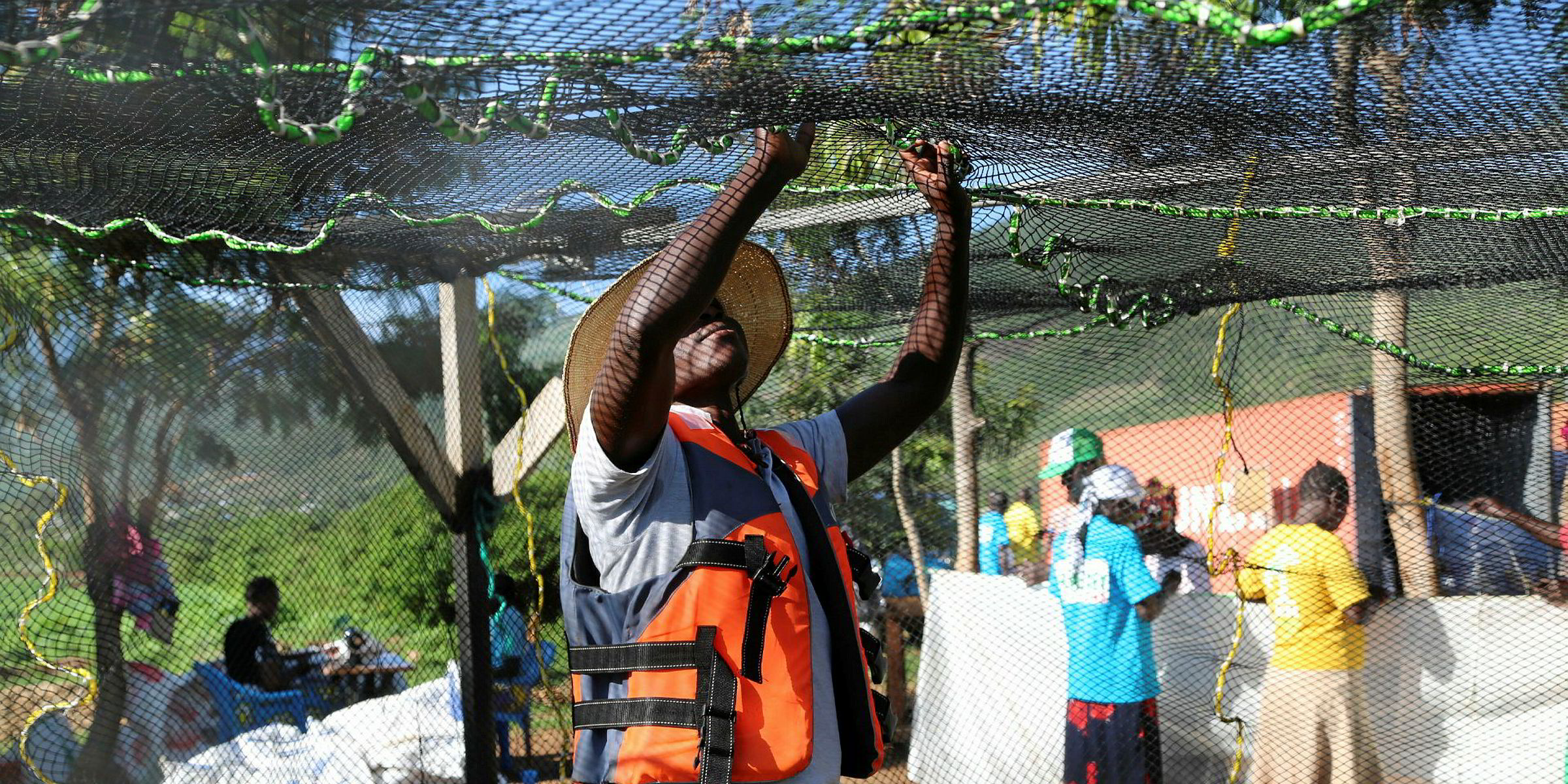 Kenyan farm to build subSaharan Africa's largest tilapia hatchery