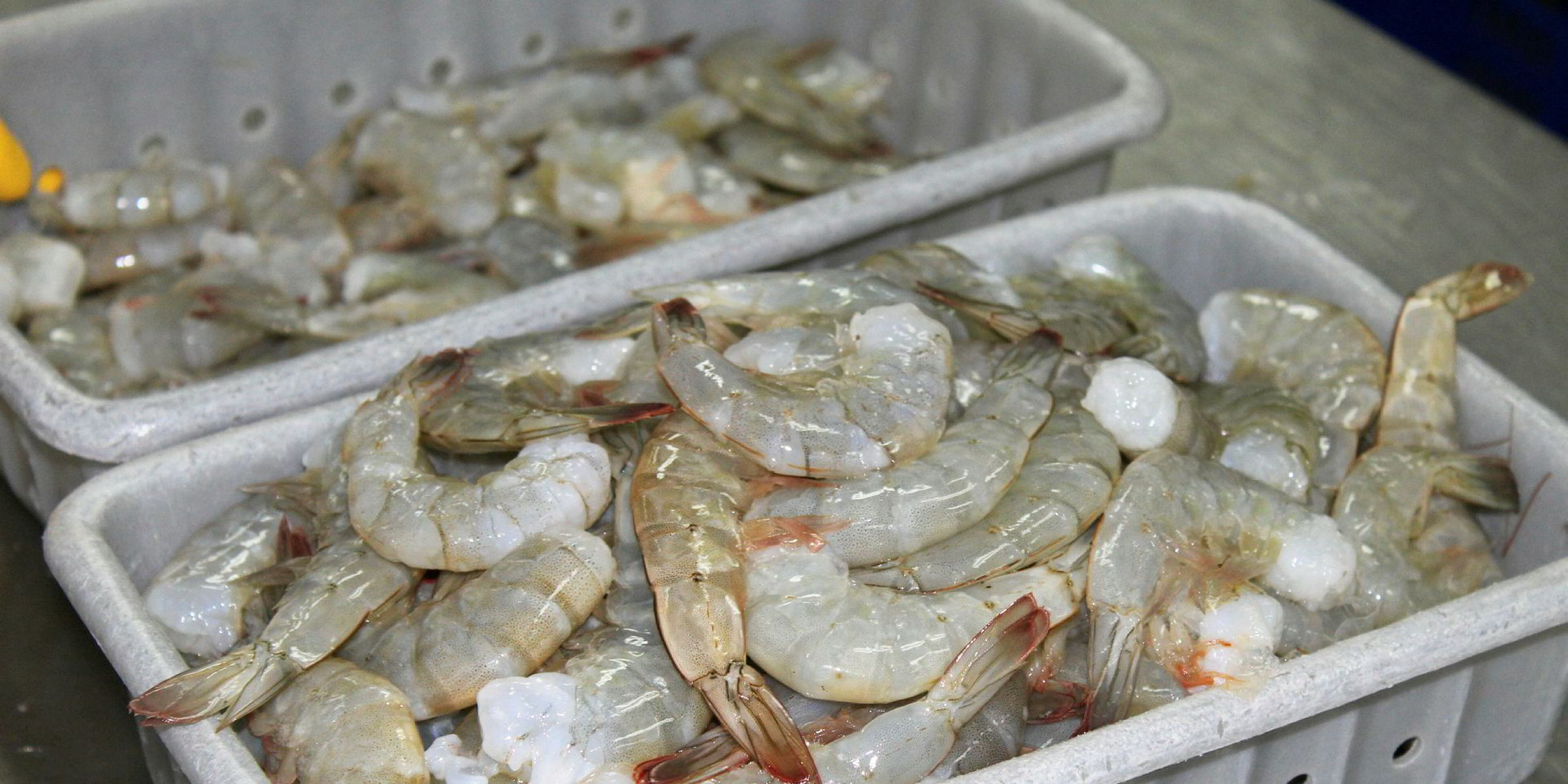 Rubicon: China reshaping world shrimp trade