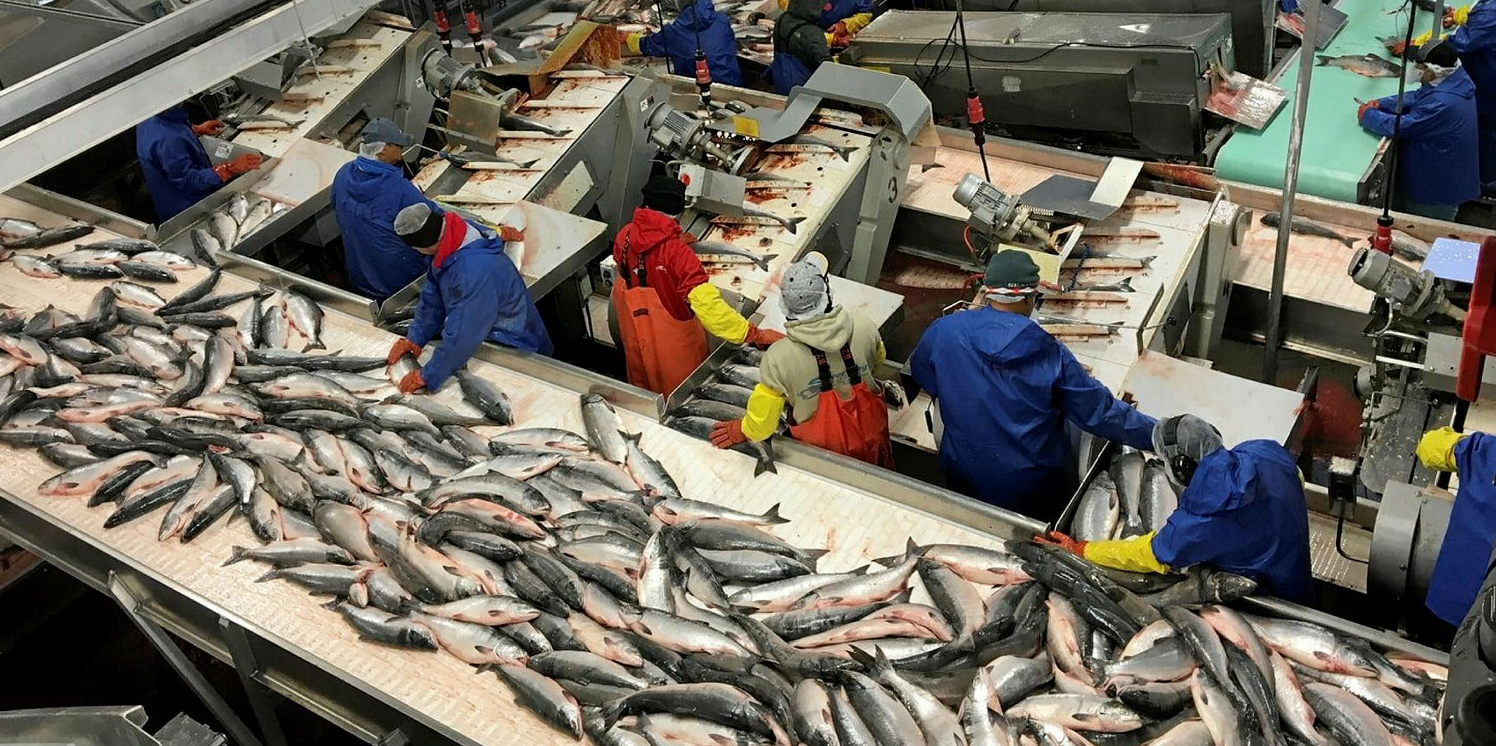 Silver Bay Seafoods suffers another COVID19 outbreak