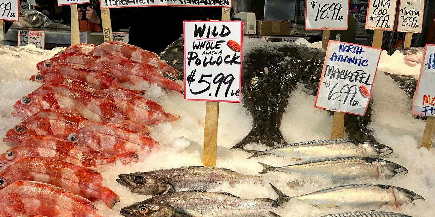 Alaskan seafood for sale