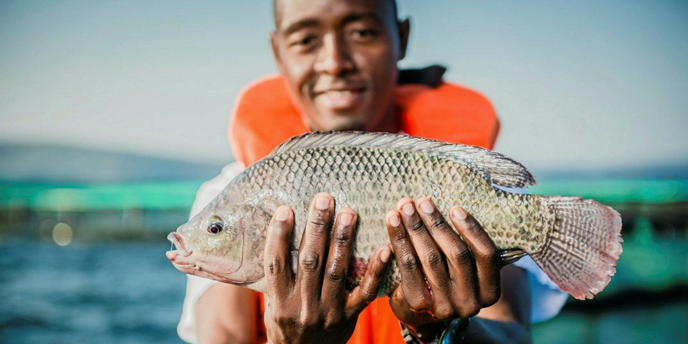 Skretting launches project to boost tilapia farming in Zambia