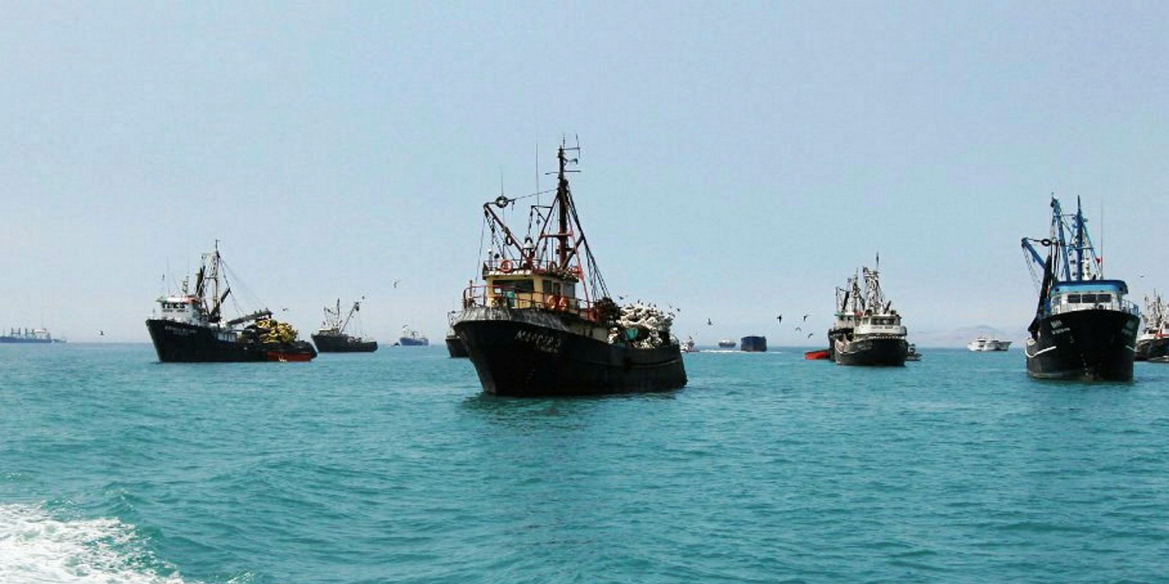 Peruvian authorities respond to calls for anchovy season closure