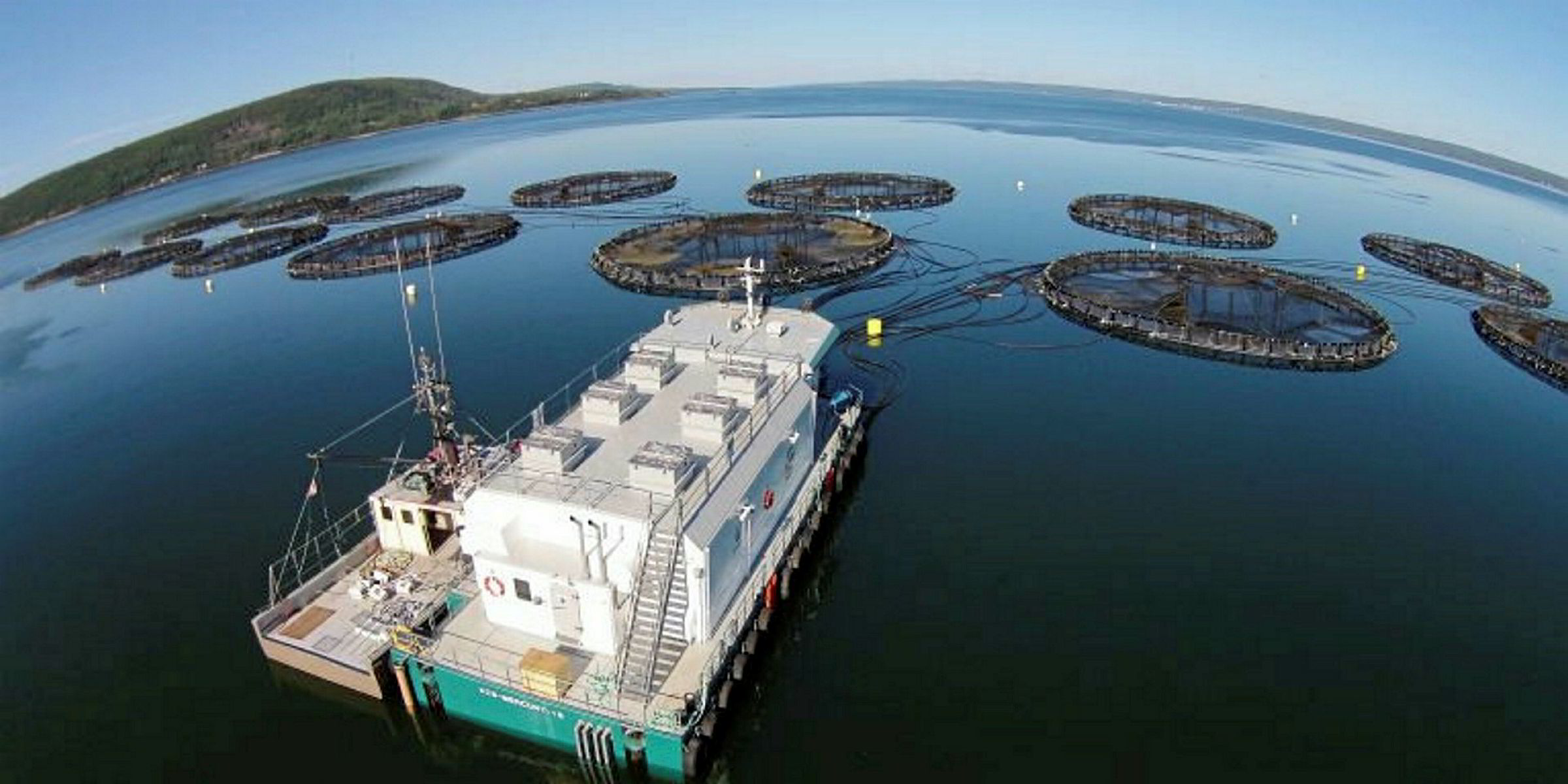 Cooke employees protest anti-aquaculture bill | IntraFish.com