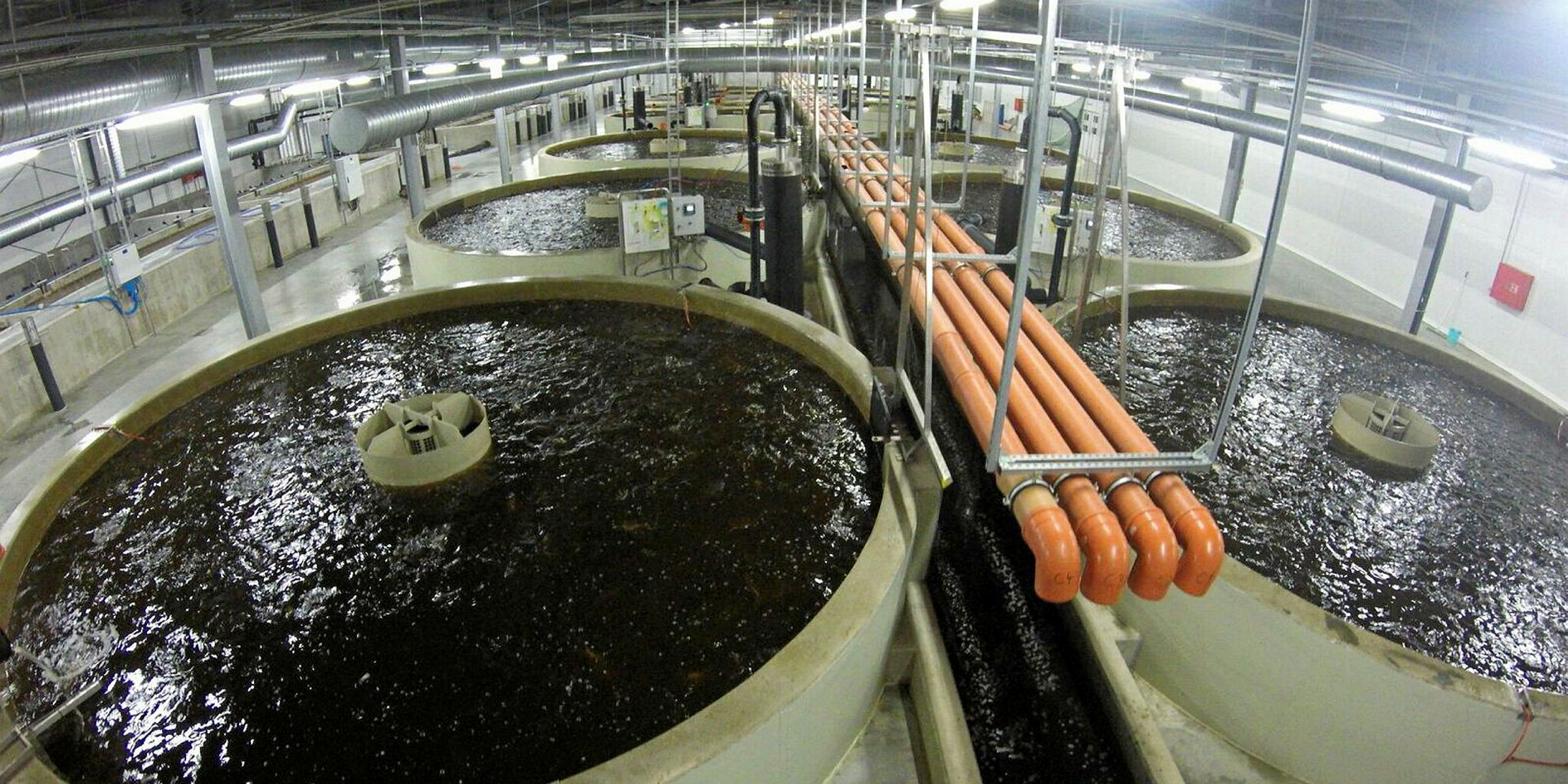 January's most-read: Land-based aquaculture, exec shifts, new seafood ...