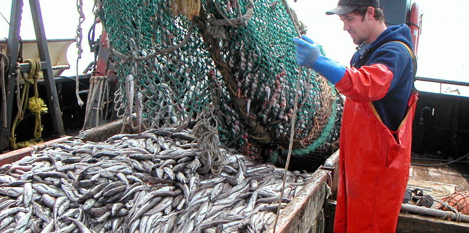 NOAA proposes higher US Pacific whiting quota for upcoming season