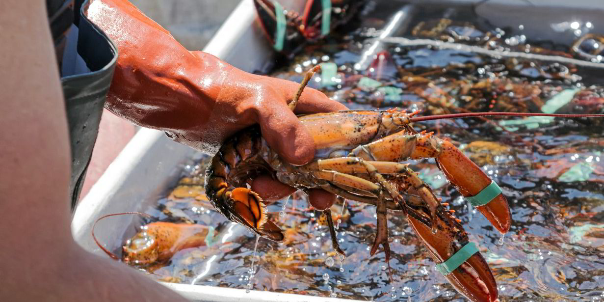 Massachusetts fishermen drop lawsuit against NGO over downgrade of