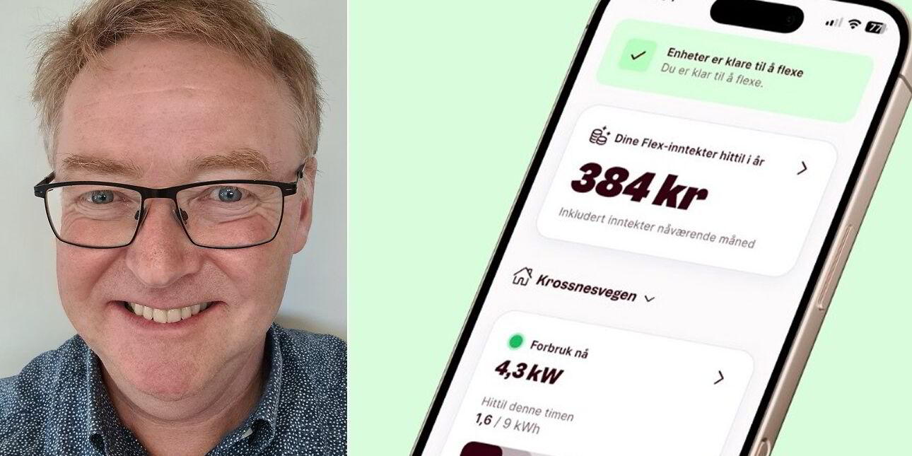 Frister fleksible strømkunder med 4000 kroner – har ingen nytte for nettet