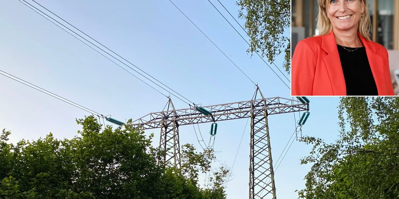 – Vi må tørre å snakke mer om hva strømmen skal brukes til