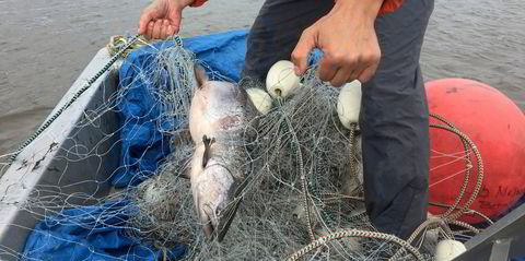 fishing net 210, fishing net 210 Suppliers and Manufacturers at