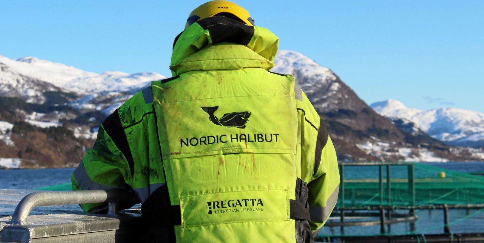 Nordic Halibut widens losses as COVID-19 closures take their toll