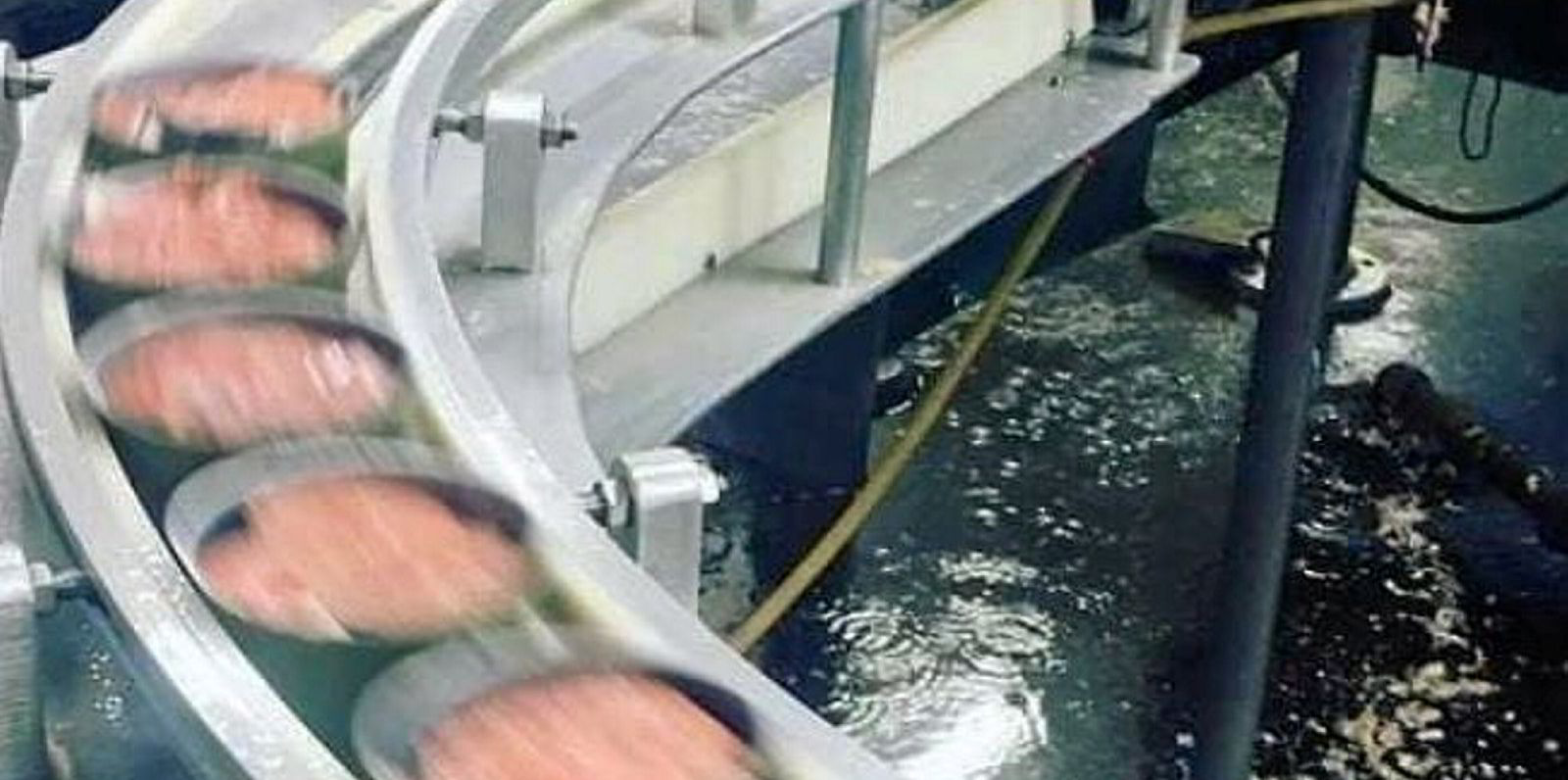 OBI Seafoods' Alaska salmon canning plant hits a major milestone