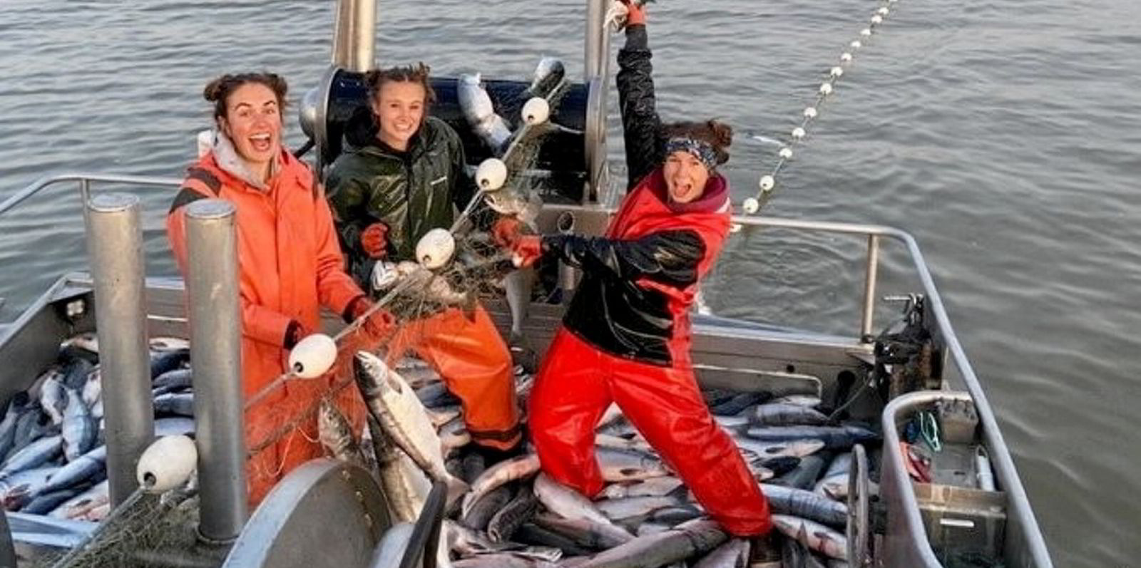 Massive sockeye hauls keep Alaska fishermen, processors humming in