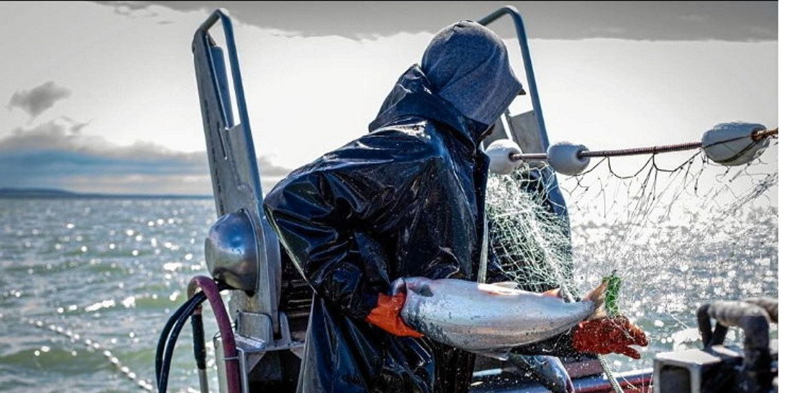 Tensions rise in Bristol Bay as salmon processors signal sharp price drop  to fishermen