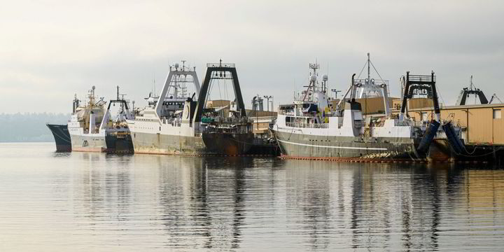 Alaska pollock associations join forces to address bycatch controversy