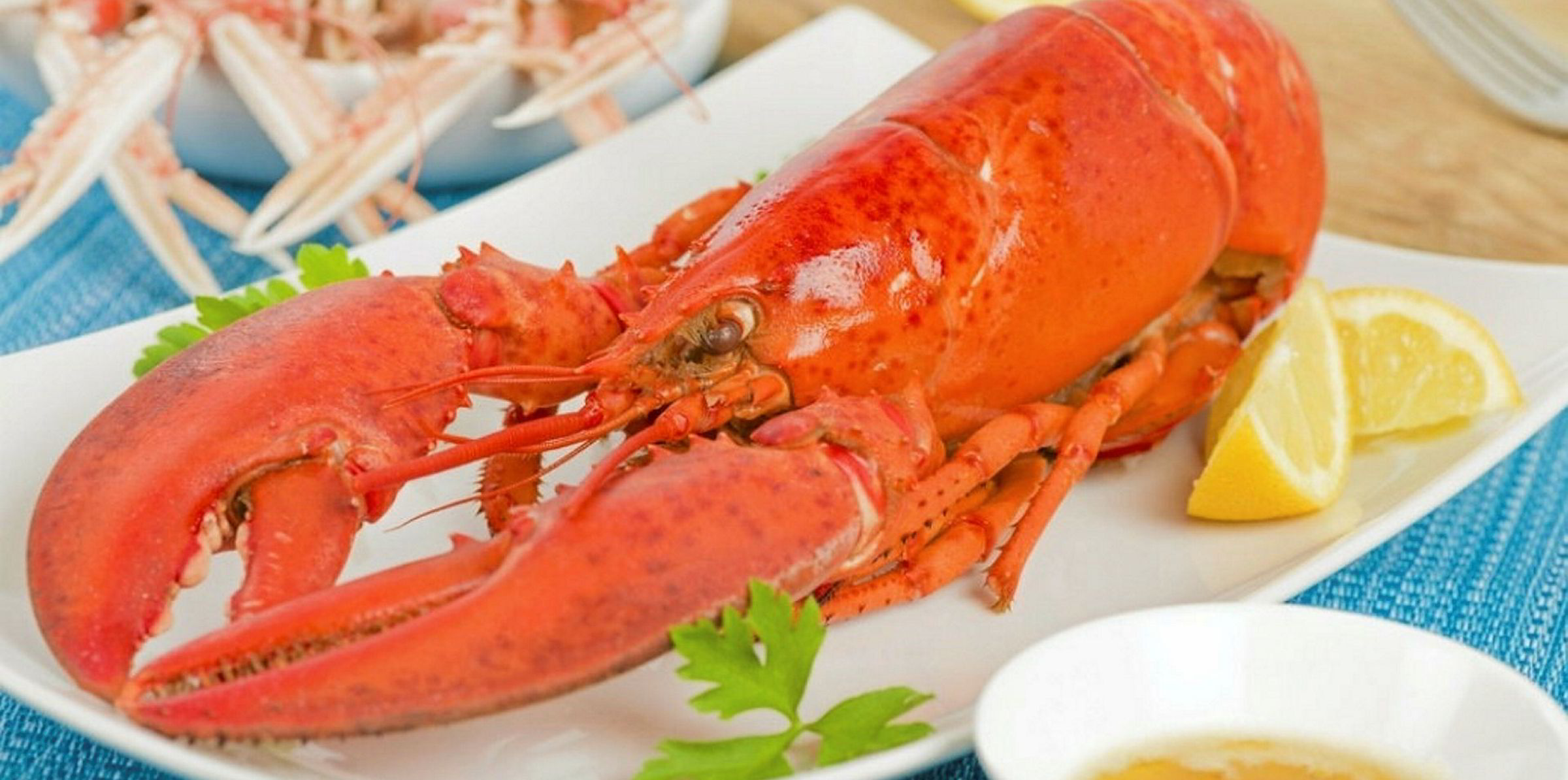QuinSea acquires new facility as part of Newfoundland lobster strategy